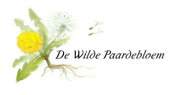 Logo De Wilde Paardebloem